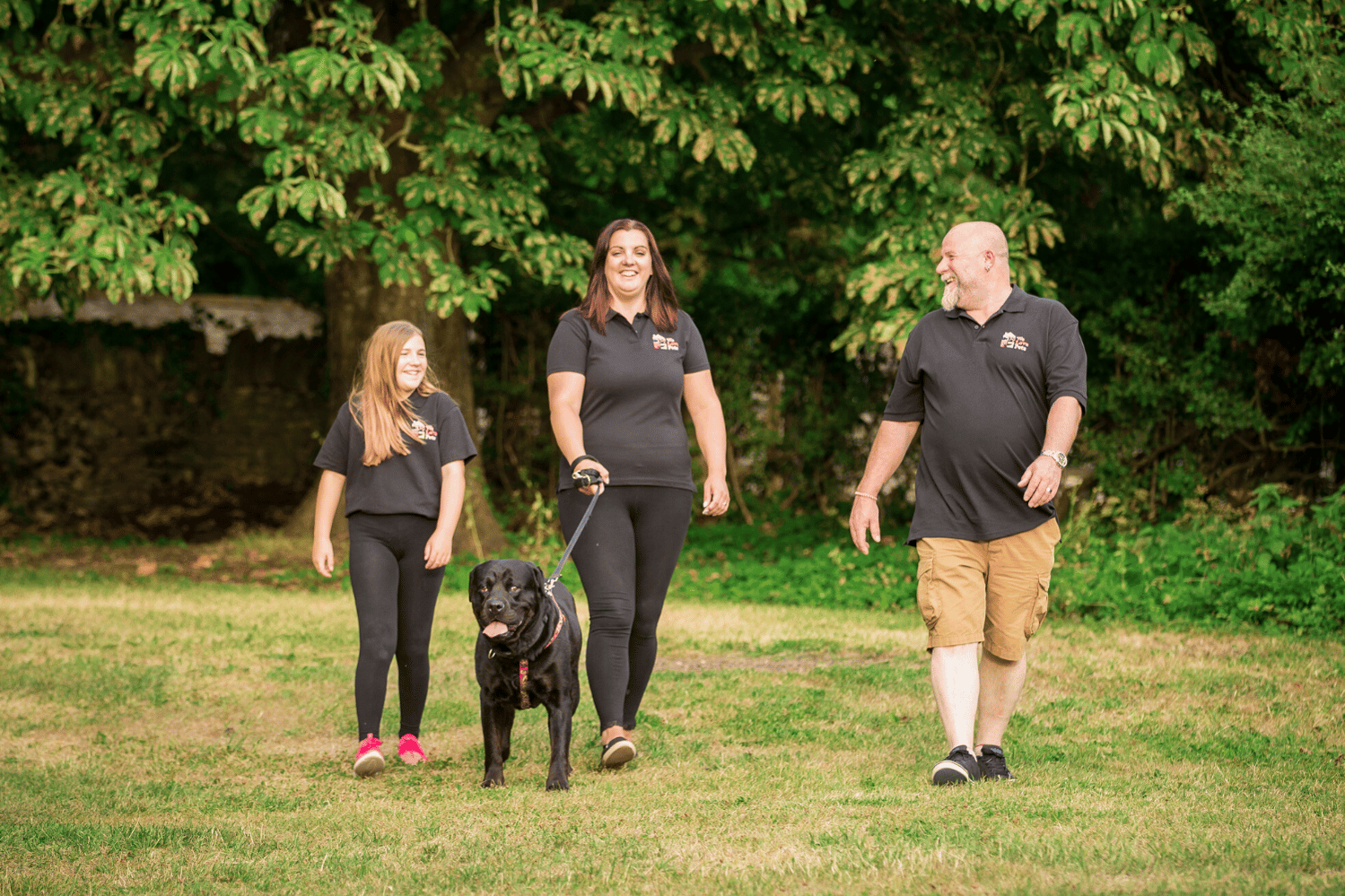 5 star licensed and fully insured dog walking and pet sitting in Bradford-on-Avon