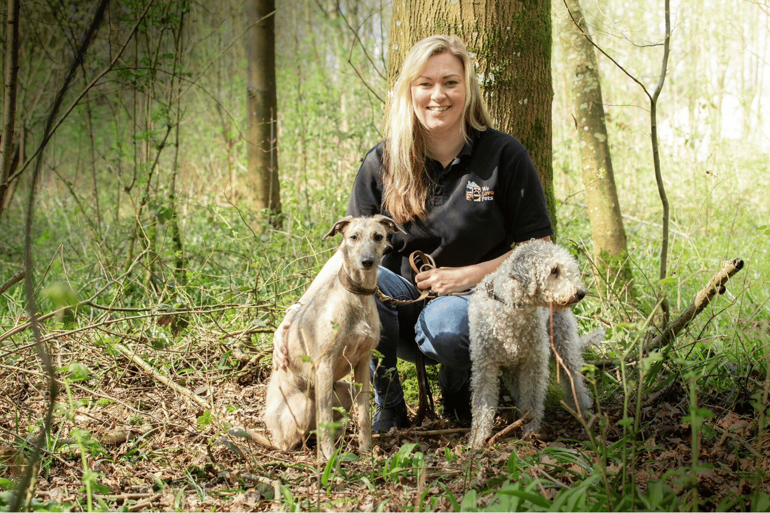 Professional dog walking and home boarding in Camberley from We Love Pets
