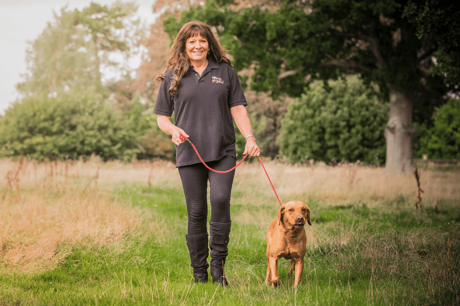 Dog walkers and pet sitters for Newport. Multi award winning We Love Pets.